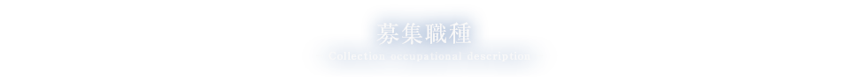 募集職種